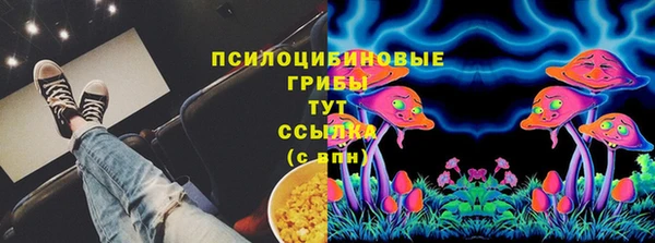 jwh Белокуриха