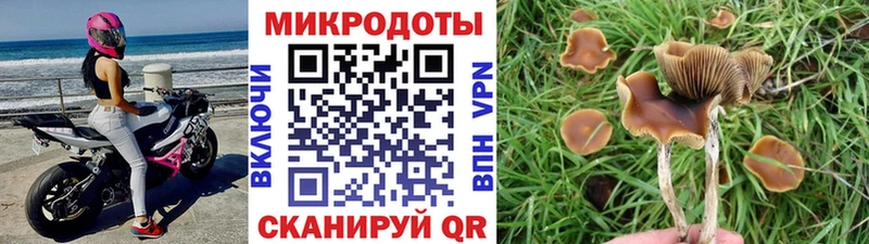 Галлюциногенные грибы Magic Shrooms  Вельск 